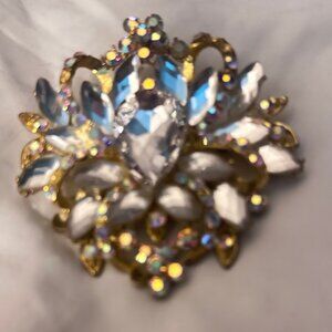 Beautiful Circobic Brooch